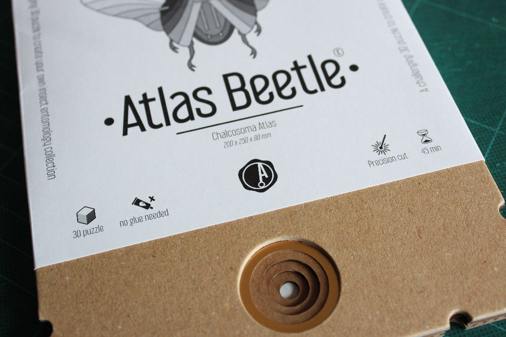 Insecte Atlas Beetle DIY Assembli