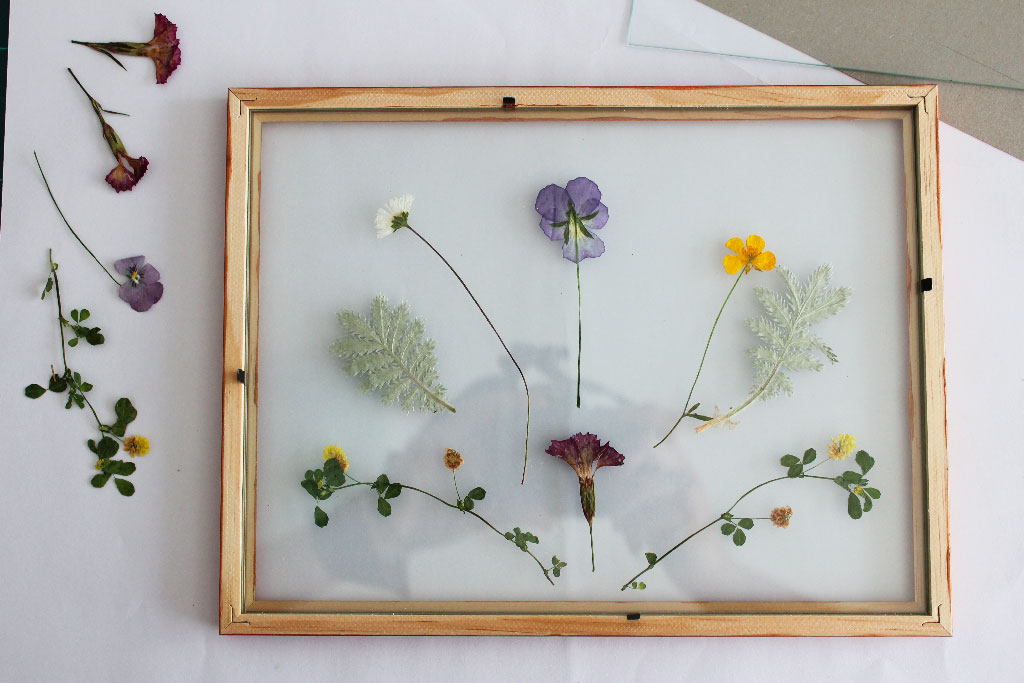 Un cadre herbier de fleurs séchées DIY